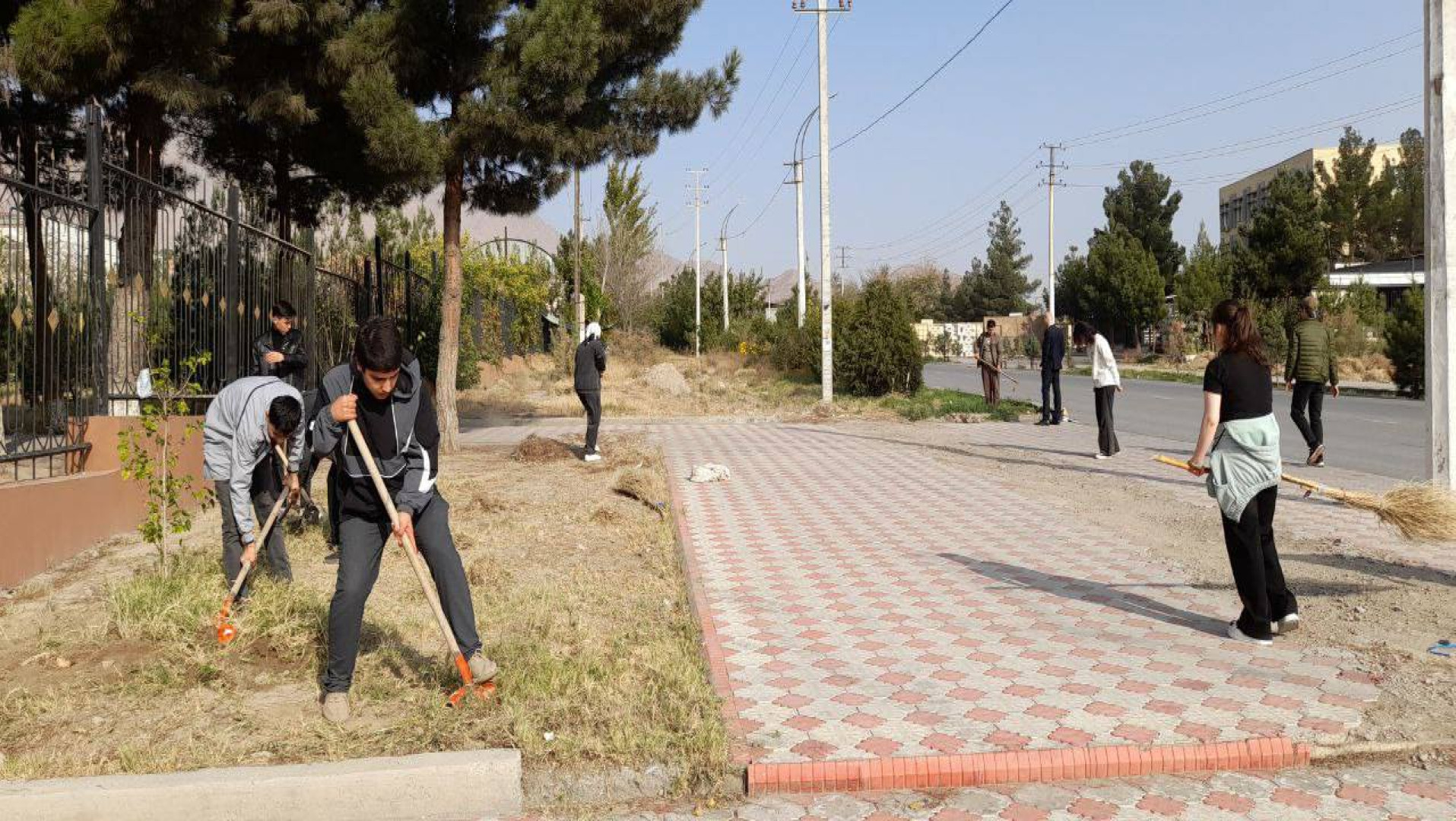 Ҳашарҳои дастҷамъона дар донишкада